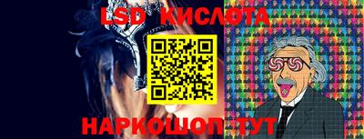 стаф Братск